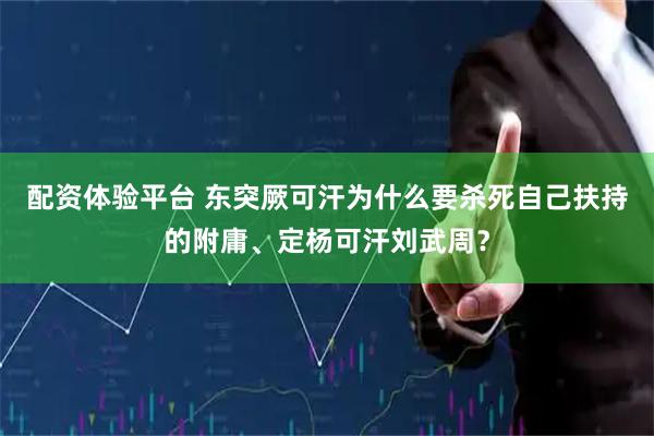 配资体验平台 东突厥可汗为什么要杀死自己扶持的附庸、定杨可汗刘武周？